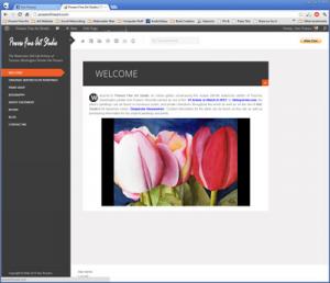 My New Wordpress-Based Website